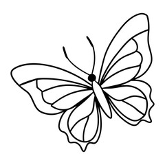 butterfly drawing outline on transparent background