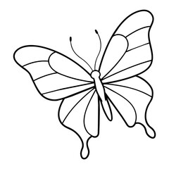 butterfly drawing outline on transparent background