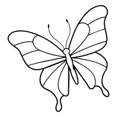 butterfly drawing outline on transparent background