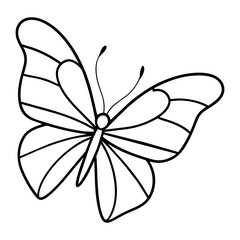 butterfly drawing outline on transparent background