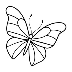 butterfly drawing outline on transparent background