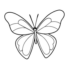 butterfly drawing outline on transparent background