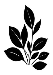 Botanical black and white pattern. Abstract plant shapes. Minimalist illustration for printing on wall decorations, for use in graphics, for tattoos. Generated by Ai