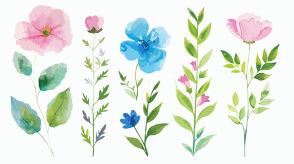 Hand painted floral elements Four Watercolor botany
