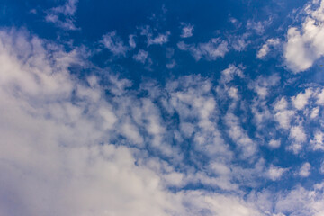 Landscape with blue sky and altocumulus white clouds beautiful blue sky background. Beauty clear cloudy in sunlight calm bright winter or summer windy air background.