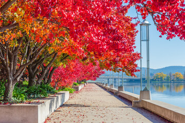An Autumn day at Lake Burley Griffin