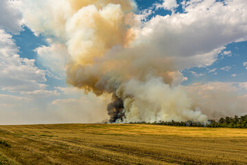 Large steppe fire in the fields of Orenburg, Russia. Smoke from a blaze in the steppe. Wildfire  in summer. The grass and forest is burning. Disaster or accident of nature.