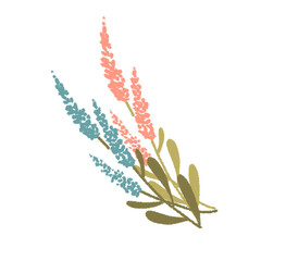 ハーブのイラスト素材 ラベンダー