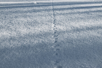 Spuren im Schnee