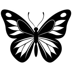 butterfly vector