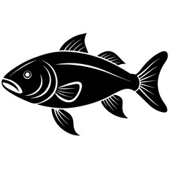 Asian Carp fish icon vector art illustration