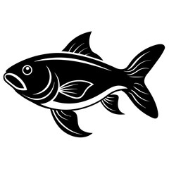 Asian Carp fish icon vector art illustration