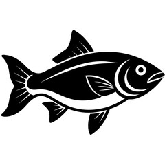 Asian Carp fish icon vector art illustration