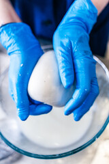 Blue-gloved hands roll a ball of mozzarella cheese over a glass dish. Close-up.