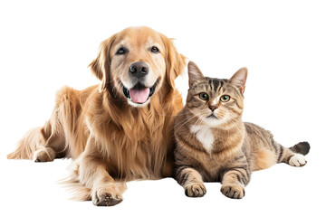 Fototapeta premium Portrait of Happy dog and cat that looking at the camera together, transparent background, png