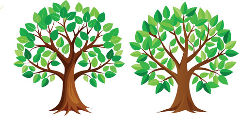 Obraz premium tree with green leaves vector 