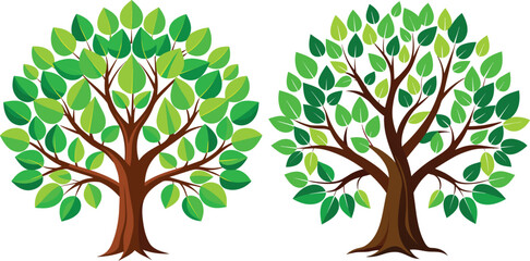 Obraz premium tree with green leaves vector 