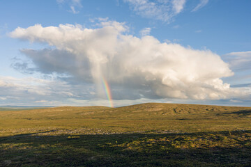 Serene fell landscape and a small rain cloud on a warm summer evening, Inari, Finland