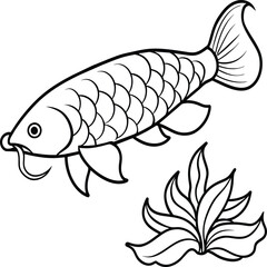 Arowana Fish Line Art Black White illustration vector
