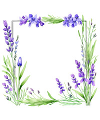 Fototapeta premium frame of lavender flowers