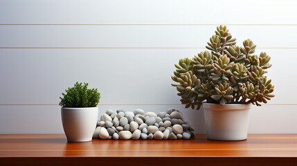 A minimalist office background with a sleek white desk, a modern computer monitor, and a potted succulent, creating a clean and contemporary workspace mock-up.