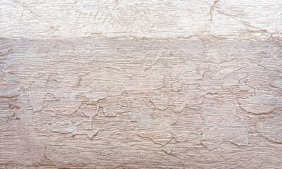 Old wood panel with termite marks or Old wooden wall texture background