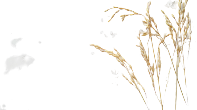 Dense cluster of tall grass blades, close-up view showcasing their texture and height