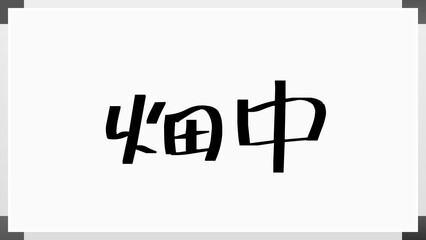 畑中 (日本人の名前・苗字)