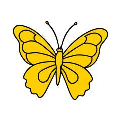 butterfly on white background