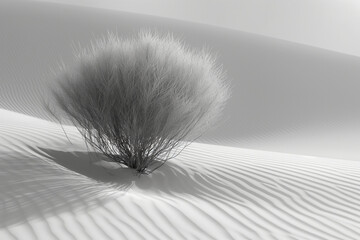 A lone desert plant breaking through the sand, its presence creating a small, textured dune of its own.