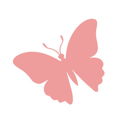 butterfly silhouette isolated on white