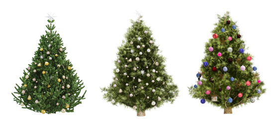 christmas tree isolated on white