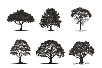 Silhouette tree set. Side view, set of graphic trees elements outline symbol for architecture and landscape design drawing. Vector illustration	