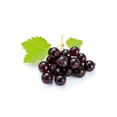Fototapeta premium Fresh blackcurrants with vibrant green leaves isolated on white background, showcasing the natural beauty and rich color of the fruit.