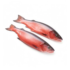 Two fresh whole salmon placed side by side against a white background, showcasing their vibrant coloration and texture.