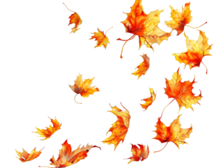 Leaves swirling around isolated on transparent background.