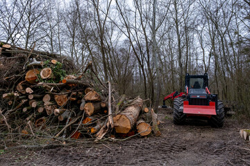 Scène d'exploitation forestière