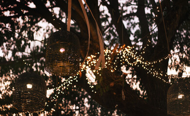 Decoration rattan lamp on tree in wedding ceremony