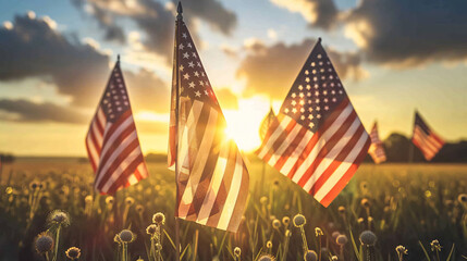 american flag held at a 4th of July gathering field community celebration sunlit park patriotic citizens holiday spirit national pride memorial day