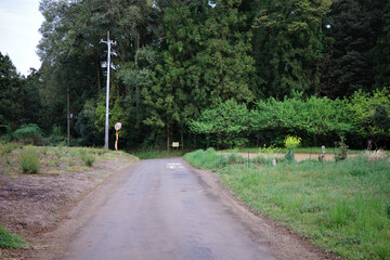 道路