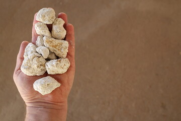 Magnesite (magnesium carbonate, MgCO3) ore, industrial mineral, Mg. Hand, copy space. Mined in...