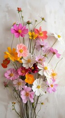 A bouquet of mixed colorful cosmos flowers against 