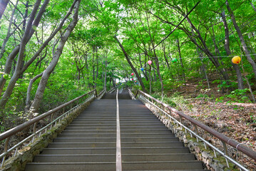 Obraz premium 南漢山城 登山道の階段（韓国）