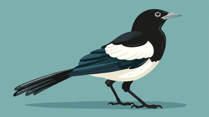 Magpie icon. Black bird. Wild nature fauna Cartoon Vector