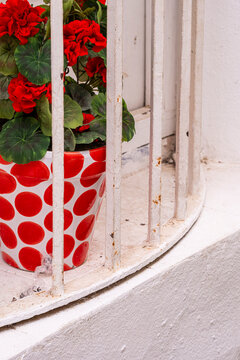 A red polka-dot flower pot with geraniums against a white background, a common sight in Cordoba, Andalusia, Spain, during spring