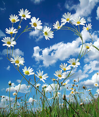 The blue sky is covered with white clouds, and the flowers in front of you form an irregular heart shape.