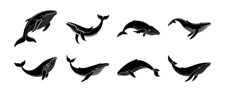 set of blue whale silhouettes, isolated background