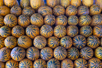 Yellow melons neatly lined up for sale at the grocery store. Summer harvest sweet yellow melon.