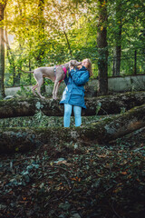 Weimaraner dog on a log gives kisses and licks the face of a laughing girl. A woman in a forest with a weimaraner dog in a rural forest environment.