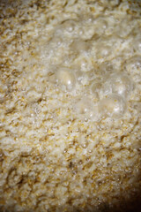 막걸리를 만들기 위한 밥과 누룩을 섞어 발효가 되어있다.